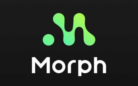 解读Morph：主打消费场景与技术融合，能否从L2同质化竞争中突围？