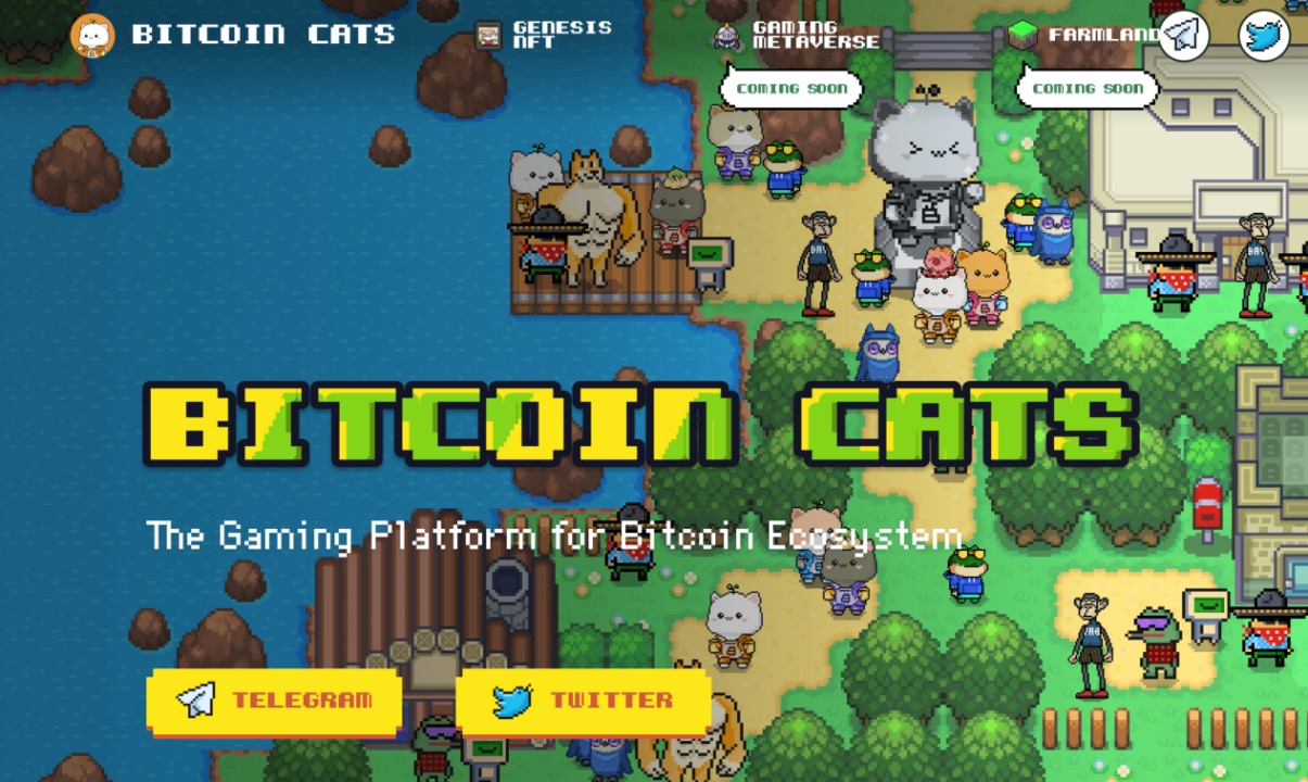 Bitcoin Cats IDO超募1亿美元后，还有哪些值得关注的比特币链游项目？