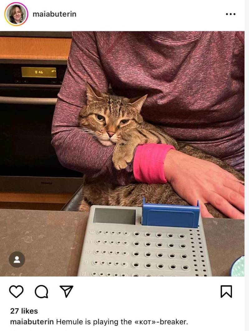 Vitalik的猫,Toly的龙,当这届Meme盯上了创始人们的宠物...