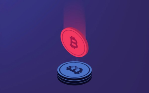 牛市第一响，BTC L2将造就alpha之王