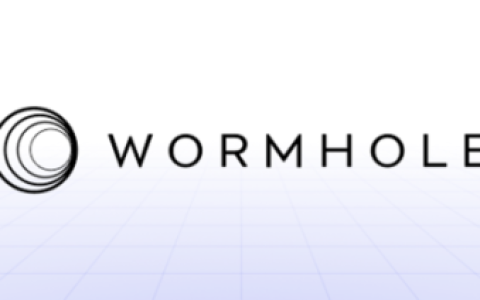 从起源到进化，一文了解Wormhole全景