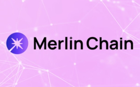 2.5万人参与，全网疯卷邀请码，Merlin代币公平发射如何参与？