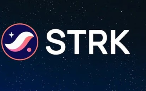 速览Starknet代币空投细则