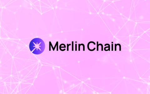 Merlin Chain是怎么崛起的？