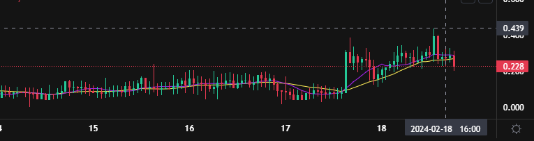 春节期间山寨币期权播报（2.9~2.18）