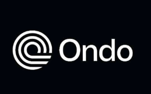 Pantera 合伙人：看懂 RWA 领头羊 Ondo