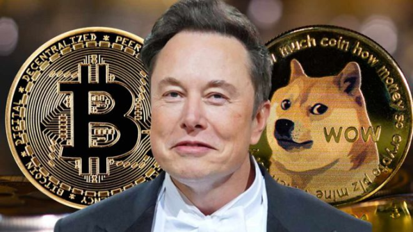 万字解读MEME赛道:如何成为金狗猎手?