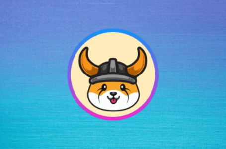 Memecoin有何独特之处？有哪些热门的Memecoins？