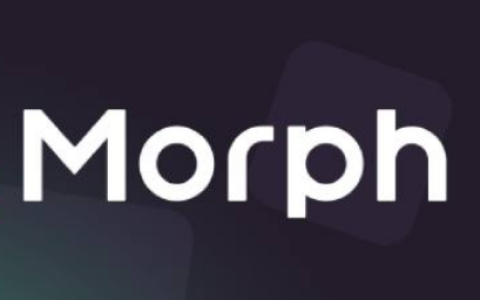 资本青眼的下个L2新秀：Morph技术逻辑与生态定位探析