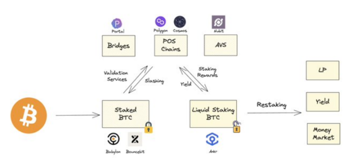 Polygon Ventures：对本轮牛市BTC生态的研究分析