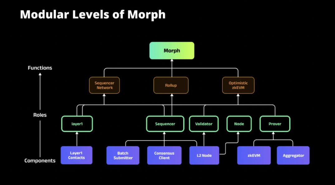 资本青眼的下个L2新秀：Morph技术逻辑与生态定位探析
