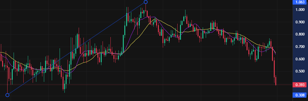 Coincall山寨币期权一周播报（4.17~4.24）