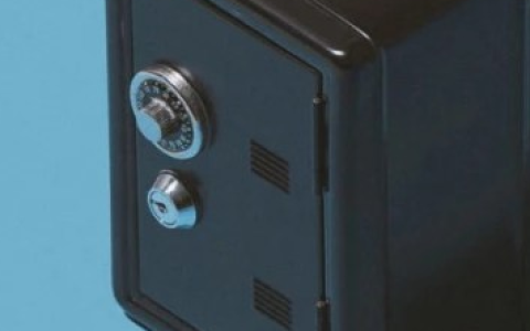 TeleportDAO：数据验证安全与效率之弈，轻节点设计最新实践