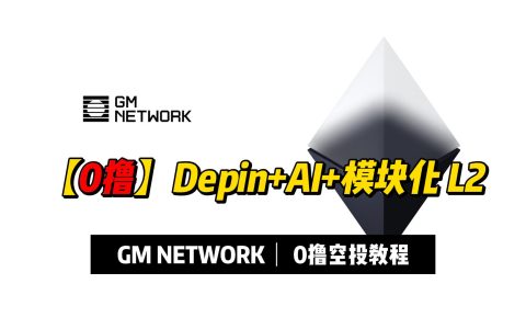 【0撸系列】Depin+AI+模块化项目GM Network空投教程