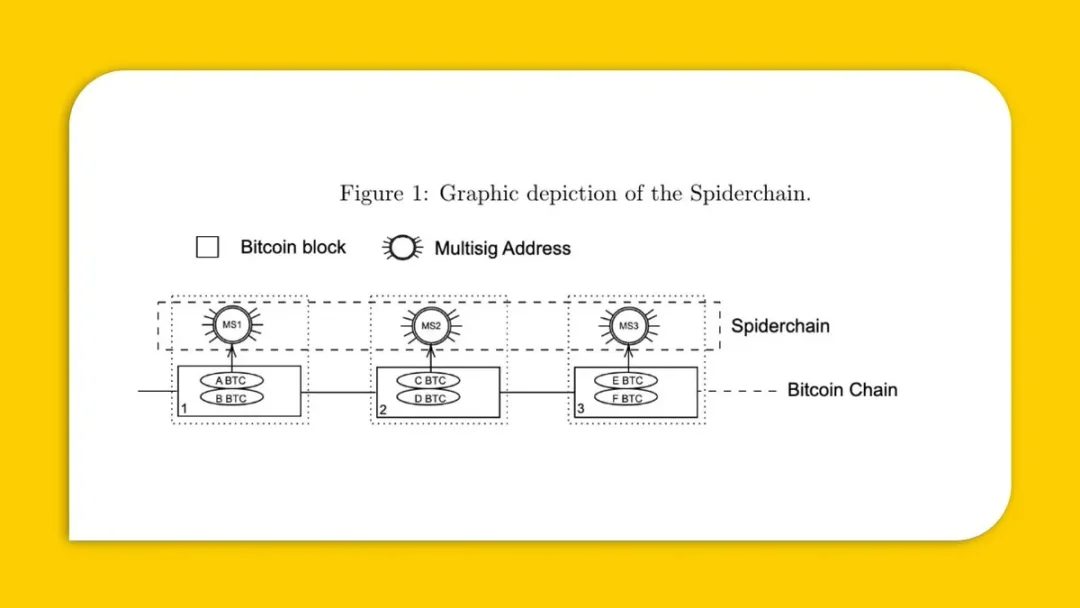 西方背景的BTC L2是否还有机会？盘点Mezo、BOB及Spiderchain
