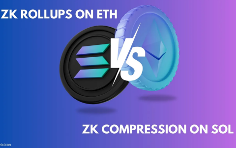 可扩展性解决方案比较：以太坊上的ZK Rollups与Solana上的ZK Compression