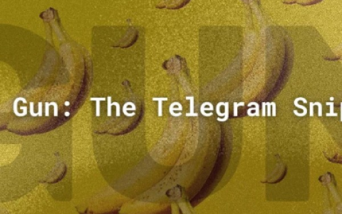 深入读懂币安HODLer空投首期项目Banana Gun
