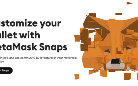 Web3小程序？MetaMask Snaps解读