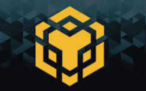 浅析BNB Chain稳定币及DeFi发展潜力