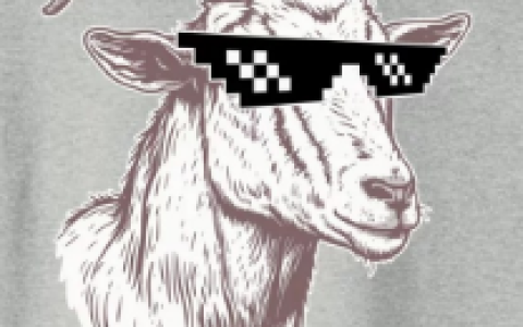 GOAT爆火背后，AI Meme的炒作预期和隐忧