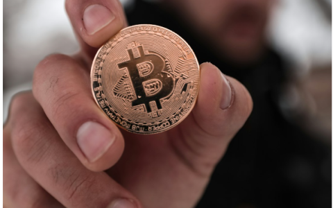 比特币的主导地位：下一轮加密货币牛市的洞察