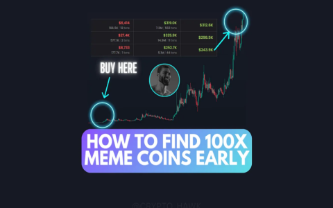 如何尽早找到下一个100倍Memecoin？