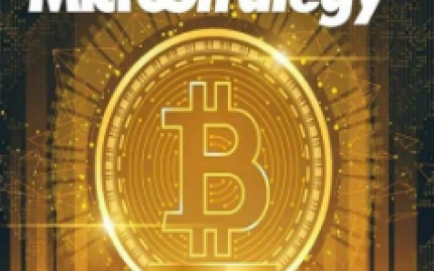 深入解析MicroStrategy的机遇与风险：戴维斯双击与双杀