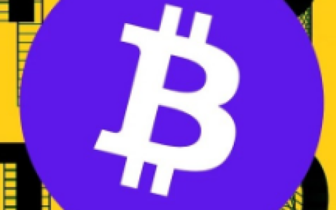 比特币突破10万美元，一场顶级阳谋