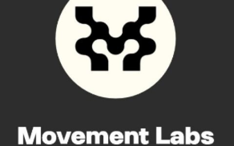 Hack VC联创：Movement将构建构建更安全的Web3基础设施