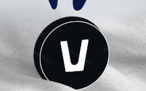 去中心化数据经济：Vana是革命还是实验？