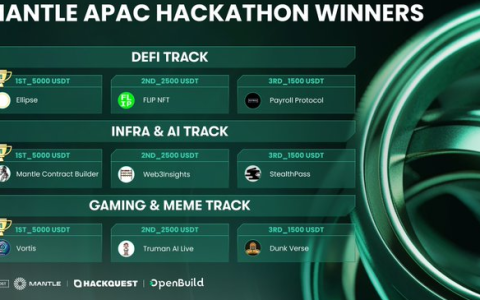 盘点Mantle APAC Hackathon 2024获奖项目