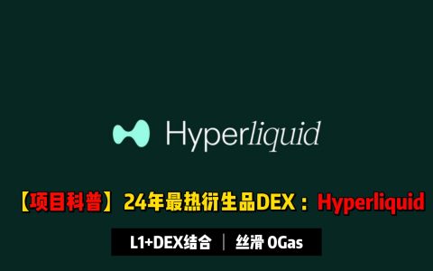 【项目科普】24年最火衍生品DEX：Hyperliquid | 链上0 Gas体验丝滑，海外爆火