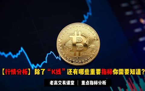 【行情分析】加密市场除了“K线”你还需要了解哪些指标？| 指标数据分析讲解
