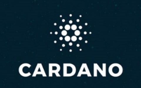 为什么总有人为ADA买账？Cardano的叙事生存术