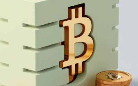从比特币到山寨币：揭开价格波动的真相！